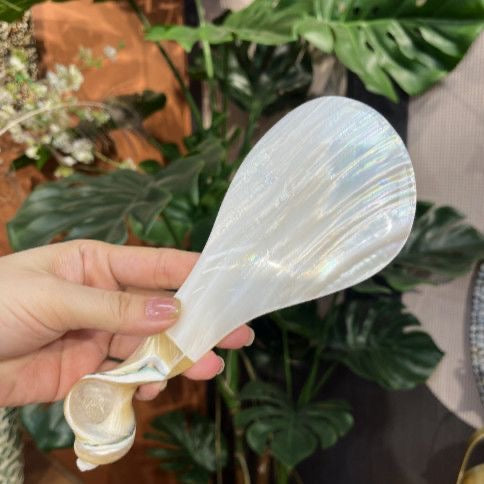 无标题 12月20日_07:22