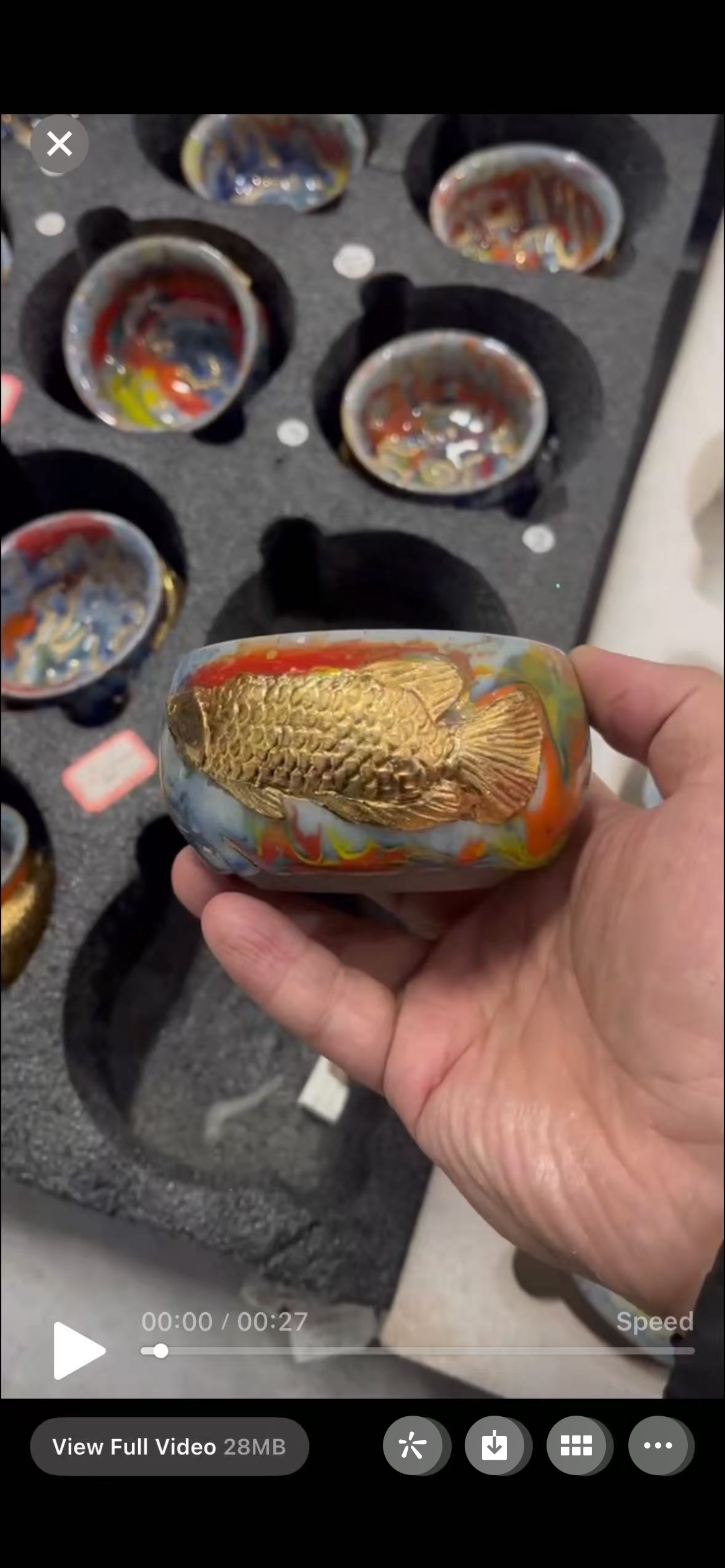 Alchemical Fish